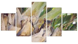Obraz veverky na stromu (125x70 cm)