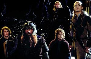 Umělecká fotografie The Fellowship of the Ring, (40 x 26.7 cm)