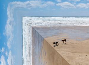 Ilustrace Perspective bending image of two dogs on a beach, ImagePatch, (40 x 30 cm)