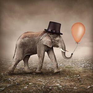 Ilustrace Elephant with a balloon, egal, (40 x 40 cm)