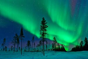 Umělecká fotografie Aurora Borealis Northern Lights Sweden, Dave Moorhouse, (40 x 26.7 cm)