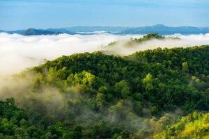 Umělecká fotografie Beautiful mist over green forest on mountain., NirutiStock, (40 x 26.7 cm)