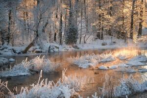 Umělecká fotografie Morning by a frozen river in winter, Schon, (40 x 26.7 cm)