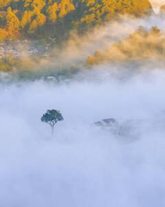 Umělecká fotografie lonely tree in the fog with, Khanh Bui, (30 x 40 cm)