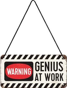 Plechová cedule Warning! Genius at Work, (20 x 10 cm)