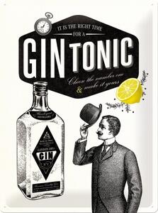 Plechová cedule Gin Tonic, (30 x 40 cm)