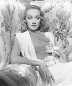 Umělecká fotografie Marlene Dietrich, (35 x 40 cm)