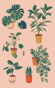 Ilustrace houseplants set, Alina Beketova, (26.7 x 40 cm)
