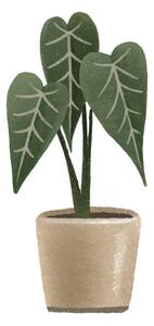 Ilustrace Green Alocasia. Houseplant in pot. Home, Ilona Myronenko, (40 x 40 cm)