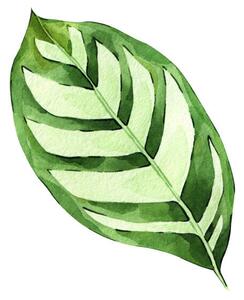 Ilustrace Watercolor hand painted green tropical leaves,, DZHAMILIA ABDULAEVA