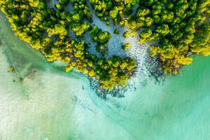 Umělecká fotografie Overhead view of a tropical mangrove lagoon, Roberto Moiola / Sysaworld, (40 x 26.7 cm)