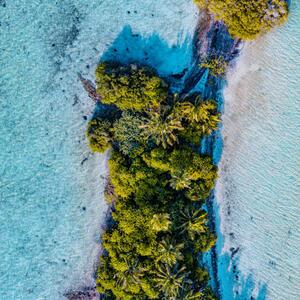 Fotografie Aerial shot of tropical island, Maldives, graphixel, (40 x 40 cm)