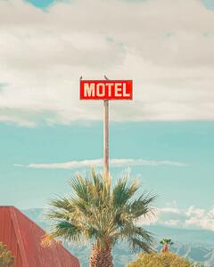 Fotografie This Motel is for the Birds, Tom Windeknecht, (30 x 40 cm)