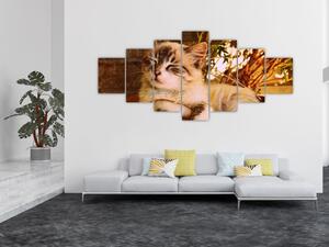 Obraz kočky v květináči (210x100 cm)