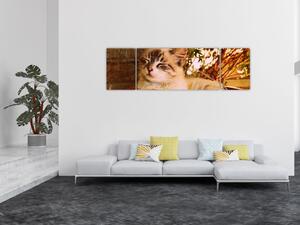 Obraz kočky v květináči (170x50 cm)