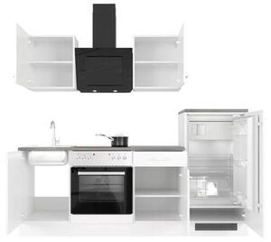 KUCHYŇSKÁ LINKA LUCCA 220 220 cm FlexWell - Online Only kuchyňské linky, Online Only