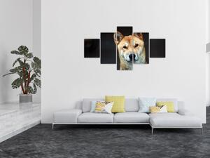 Obraz psa (125x70 cm)