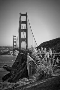 Umělecká fotografie San Francisco Golden Gate Bridge, Melanie Viola, (26.7 x 40 cm)