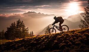 Umělecká fotografie Golden hour biking, Sandi Bertoncelj, (40 x 22.5 cm)
