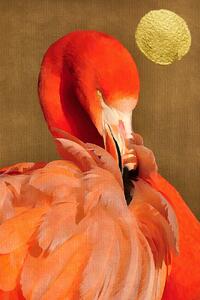 Ilustrace Flamingo With Golden Sun, Kubistika, (26.7 x 40 cm)