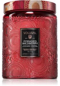 VOLUSPA Japonica Foraged Wildberry vonná svíčka 510 g