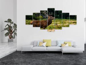 Obraz jelena (210x100 cm)