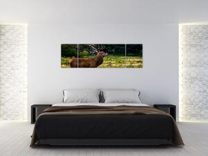 Obraz jelena (170x50 cm)