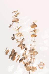 Ilustrace Eucalyptus Creative Gold 03, Studio Collection, (26.7 x 40 cm)