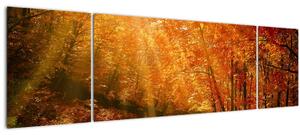 Obraz podzimního lesa (170x50 cm)