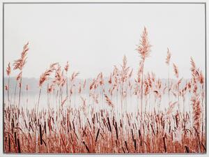 TIŠTĚNÉ OBRAZY NA PLÁTNĚ, krajina a příroda, 60/45 cm Monee - Umělecký tisk