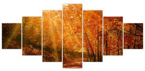 Obraz podzimního lesa (210x100 cm)