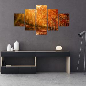 Obraz podzimního lesa (125x70 cm)