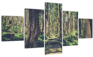 Obraz cesty mezi stromy (125x70 cm)