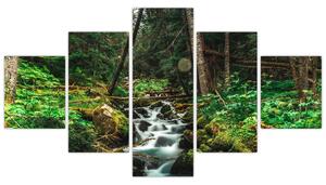 Obraz potoku v lese (125x70 cm)