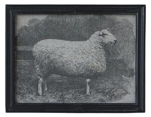 Chic Antique Plátěný obraz v černém rámu - Ovce