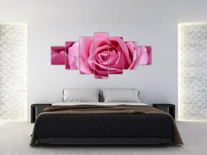 Obraz růže (210x100 cm)