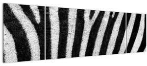 Obraz kůže zebry (170x50 cm)