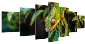 Obraz chameleona (210x100 cm)