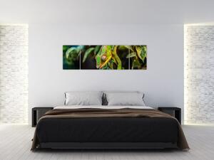 Obraz chameleona (170x50 cm)