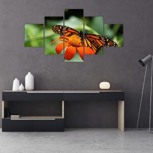 Obraz motýla na květině (125x70 cm)