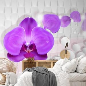 Tapeta orchidej na abstraktním pozadí