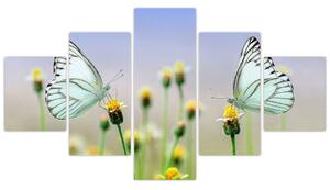 Obraz motýlů na květině (125x70 cm)