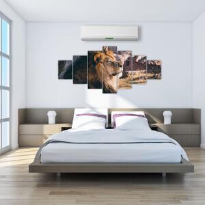 Obraz ležícího lva (210x100 cm)