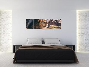 Obraz ležícího lva (170x50 cm)