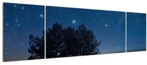Obraz stromů v noci (170x50 cm)