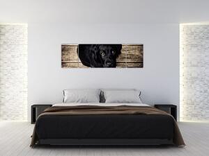 Obraz černého štěněte (170x50 cm)