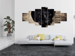 Obraz černého štěněte (210x100 cm)