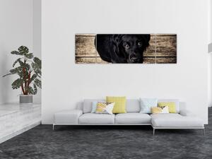 Obraz černého štěněte (170x50 cm)
