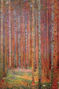 Plakát, Obraz - Jedlový les, (61 x 91.5 cm)