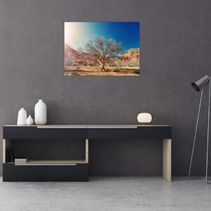 Obraz stromu v poušti (70x50 cm)